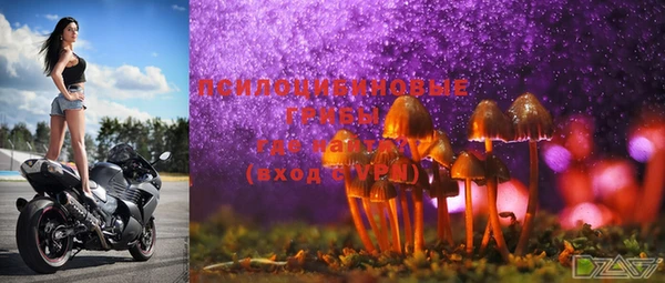 мяу мяу мука Балахна